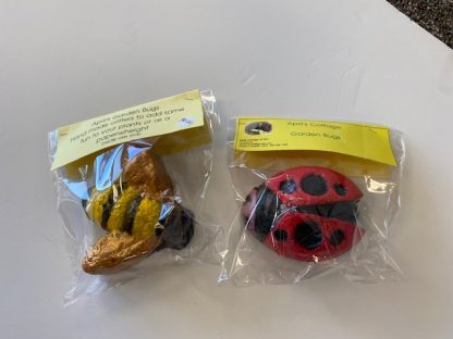 April's Garden Bugs